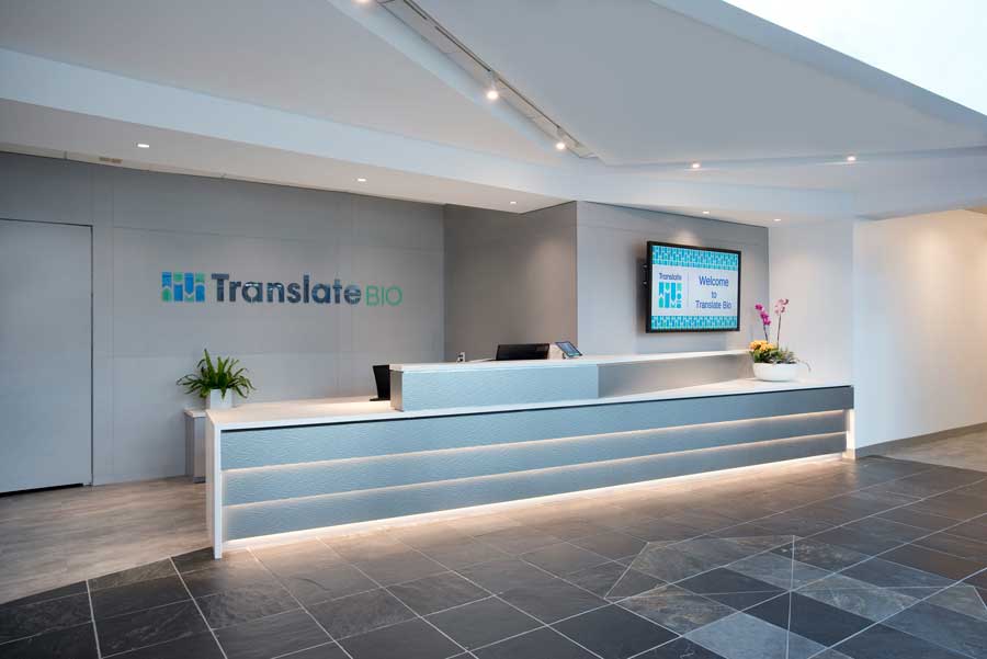 design build services firm for translate